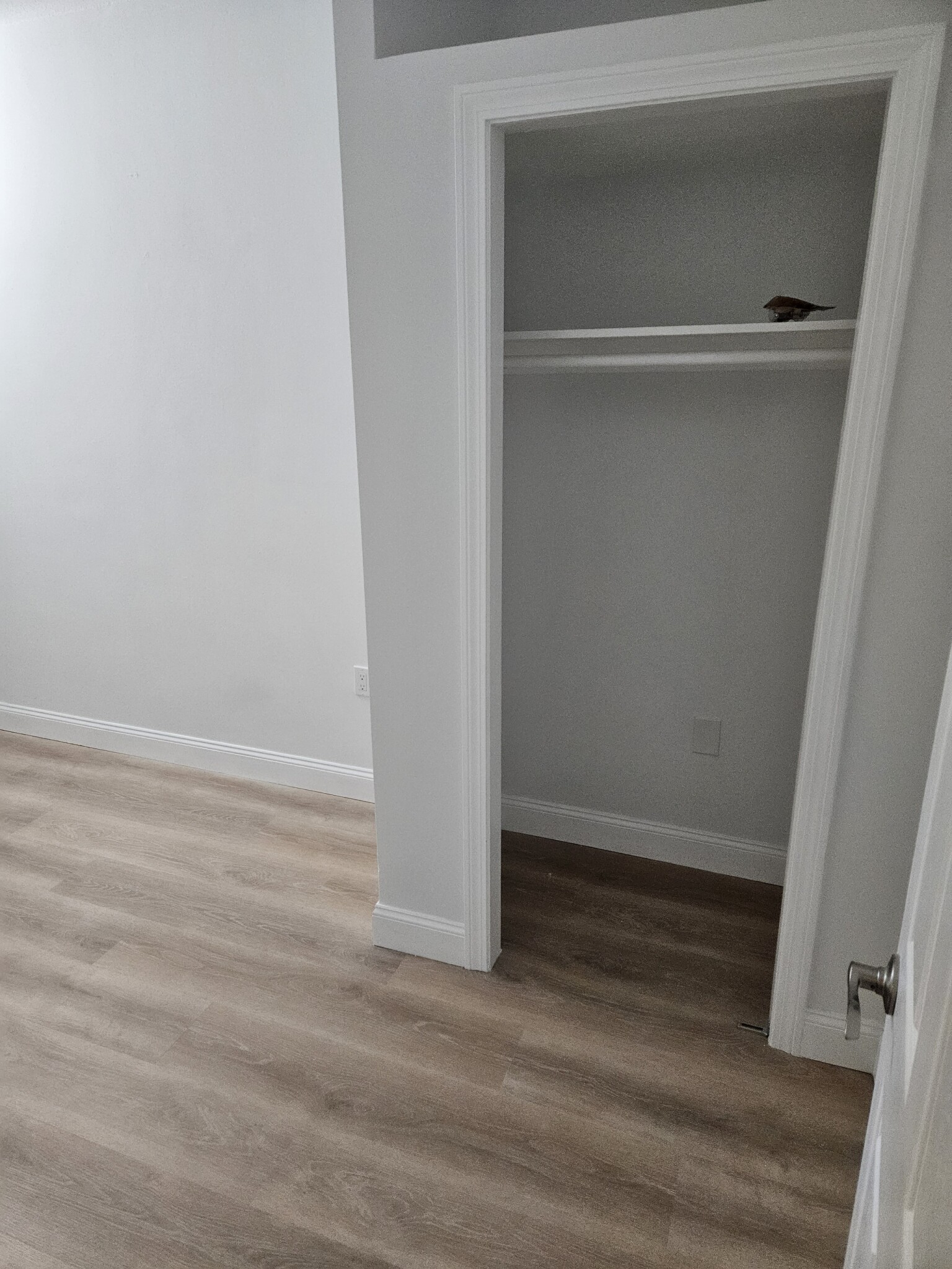 111 Norway St, Fenway