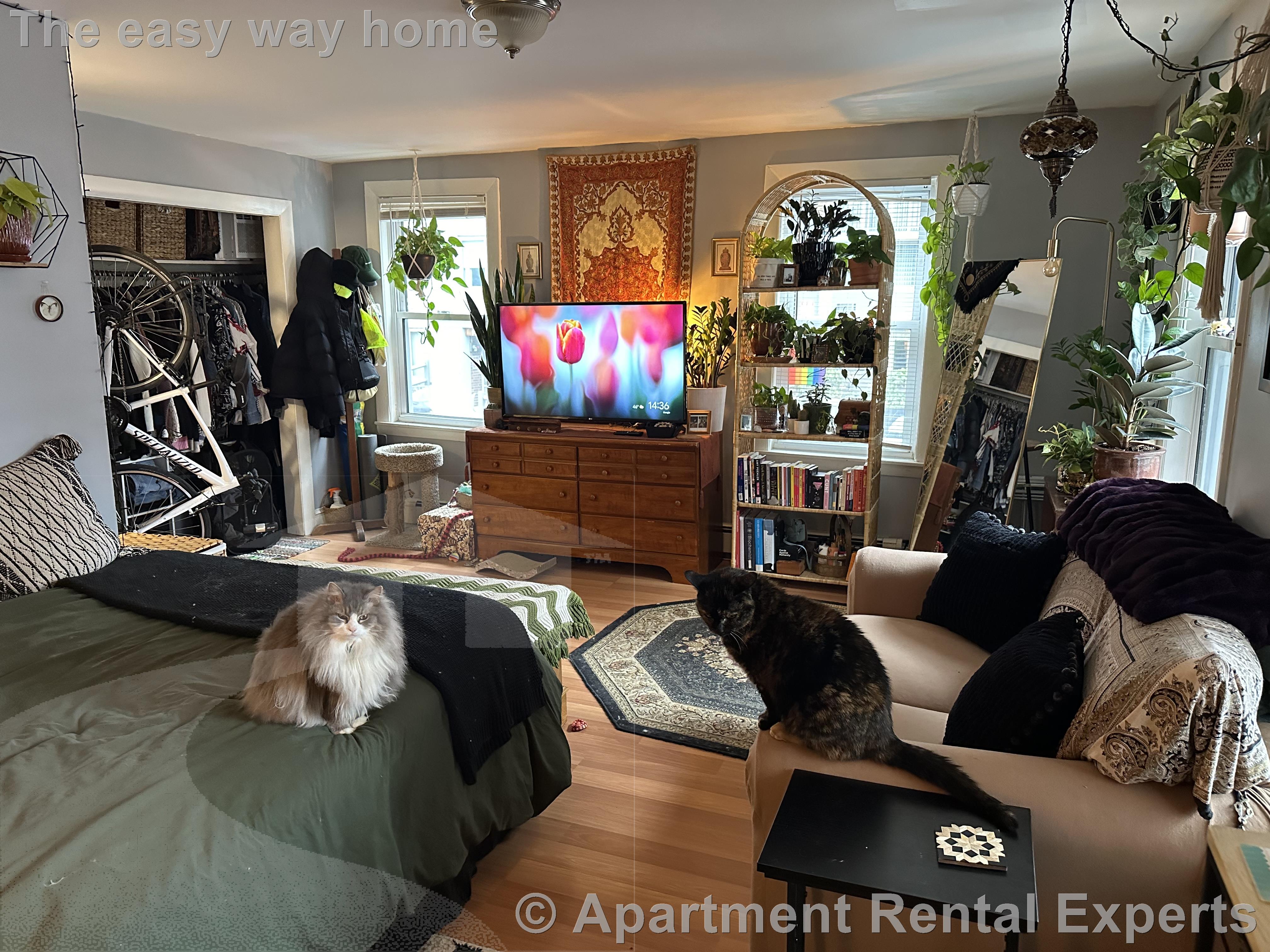 400 Franklin St, Central Square