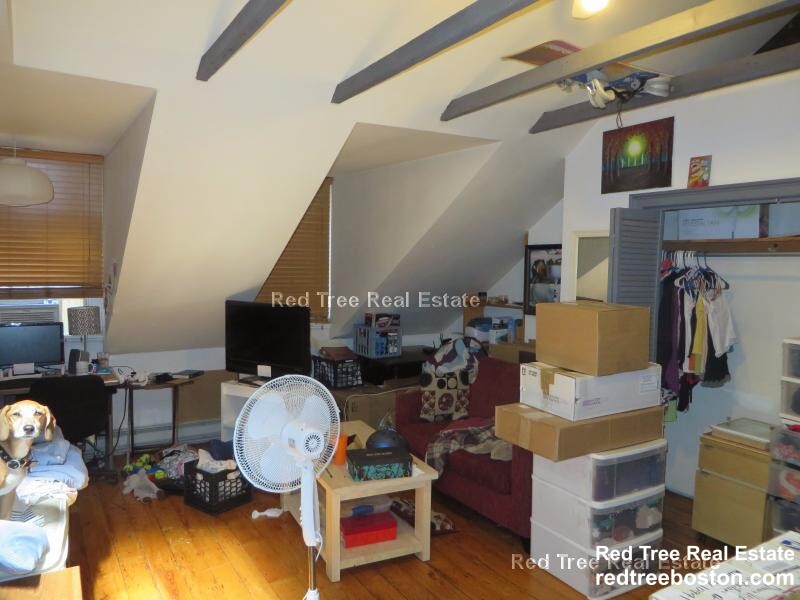 32 Irving St, Beacon Hill