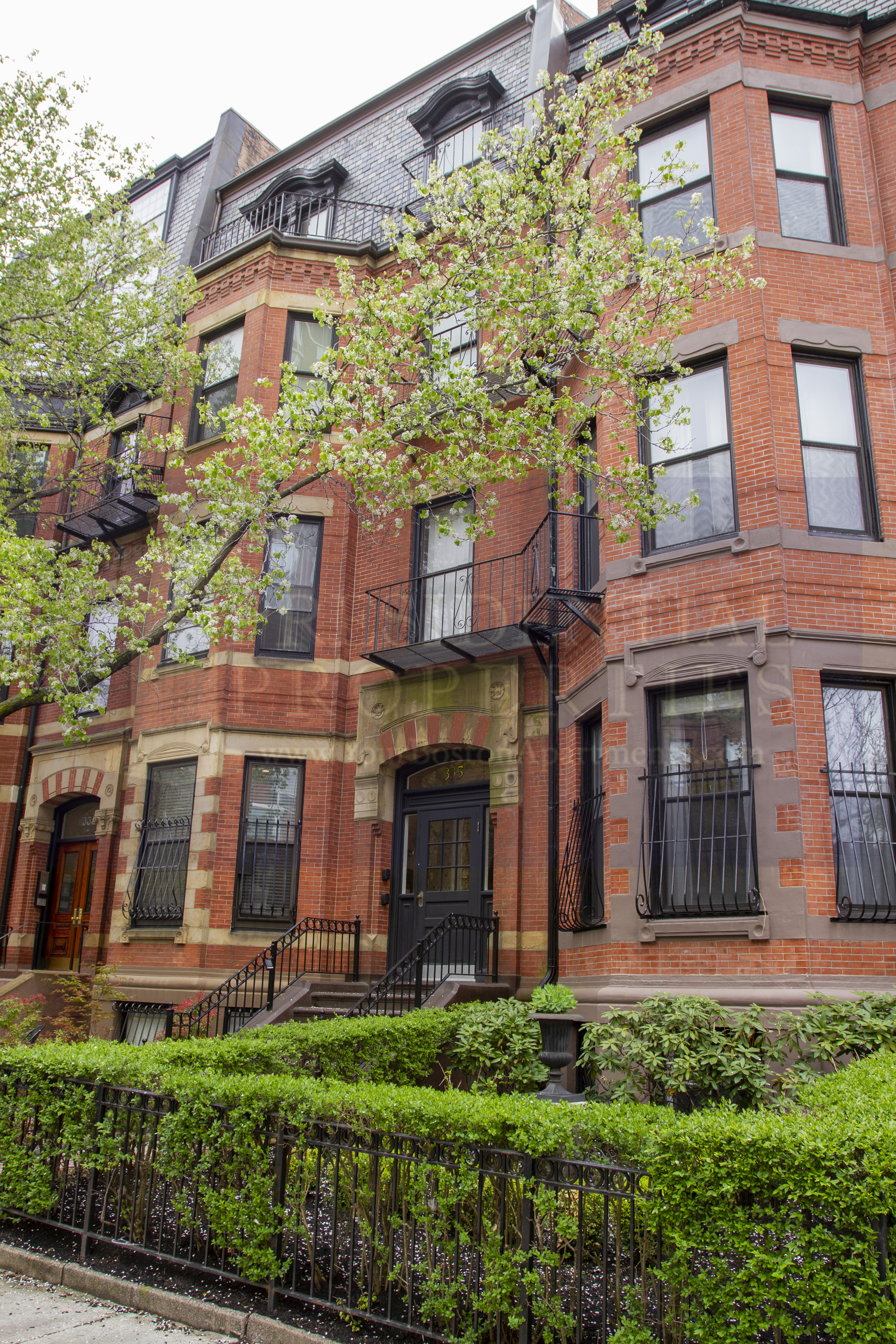 Studio bed, 1 bath apartment for rent at 335 Beacon St Unit 2, Back Bay — photo 6 of 8