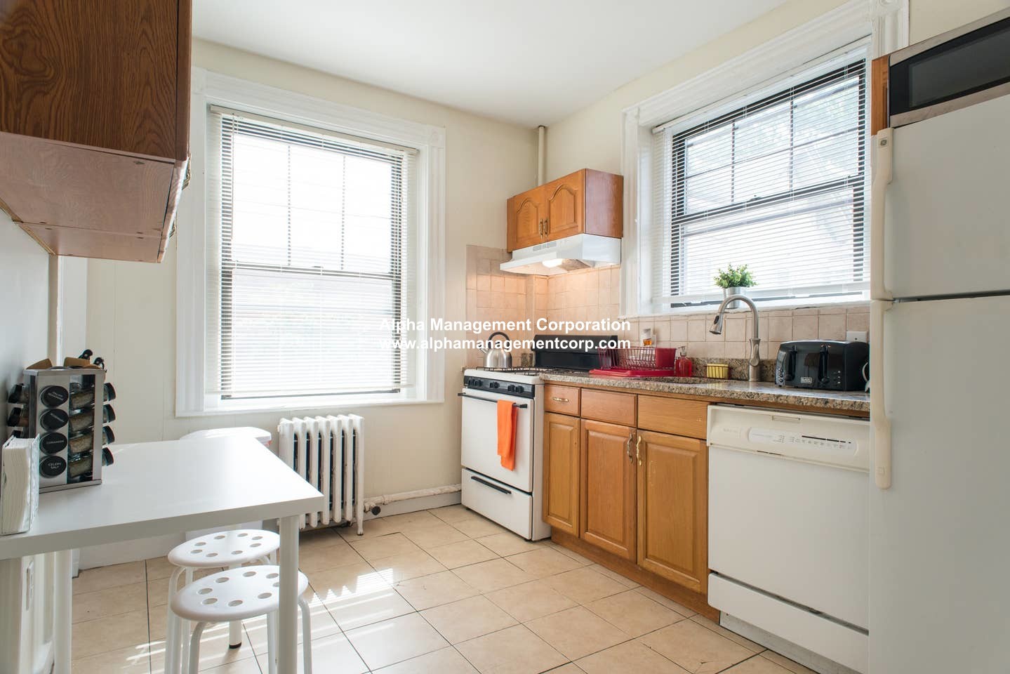 48 Babcock St, North Brookline