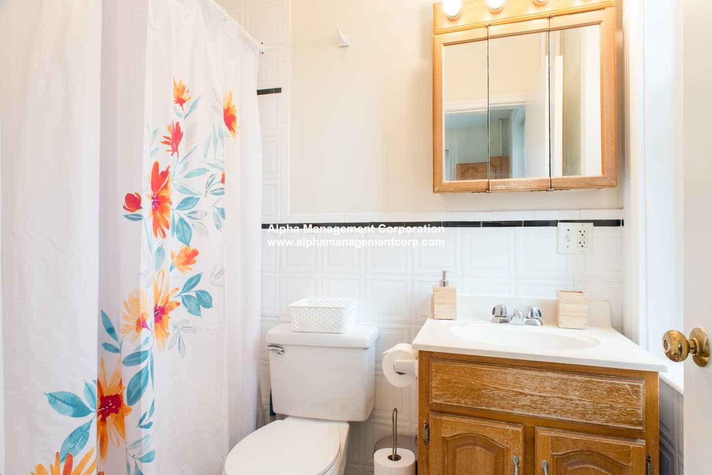 48 Babcock St, North Brookline