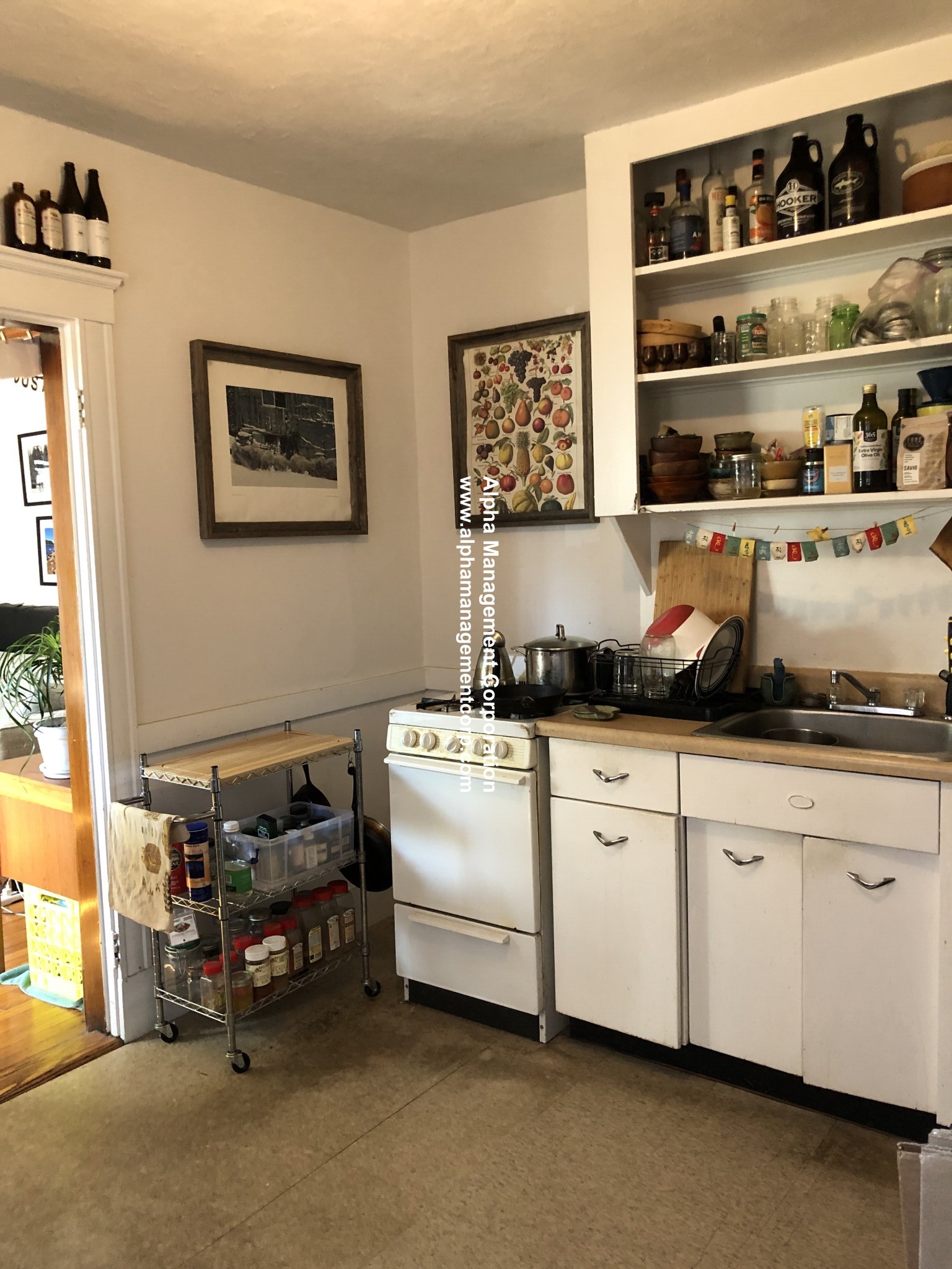 1 bed, 1 bath apartment for rent at 16 Lakeville Rd Unit 4, Jamaica Plain — photo 3 of 11