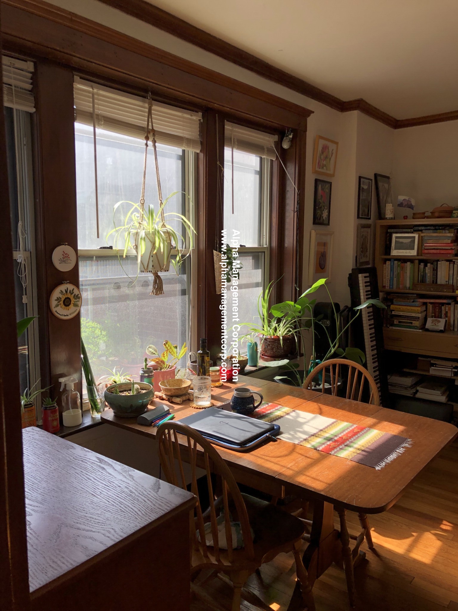 1 bed, 1 bath apartment for rent at 16 Lakeville Rd Unit 4, Jamaica Plain — photo 4 of 11