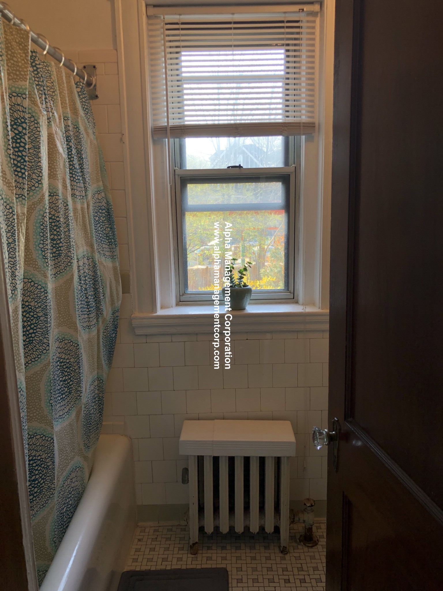 1 bed, 1 bath apartment for rent at 16 Lakeville Rd Unit 4, Jamaica Plain — photo 10 of 11