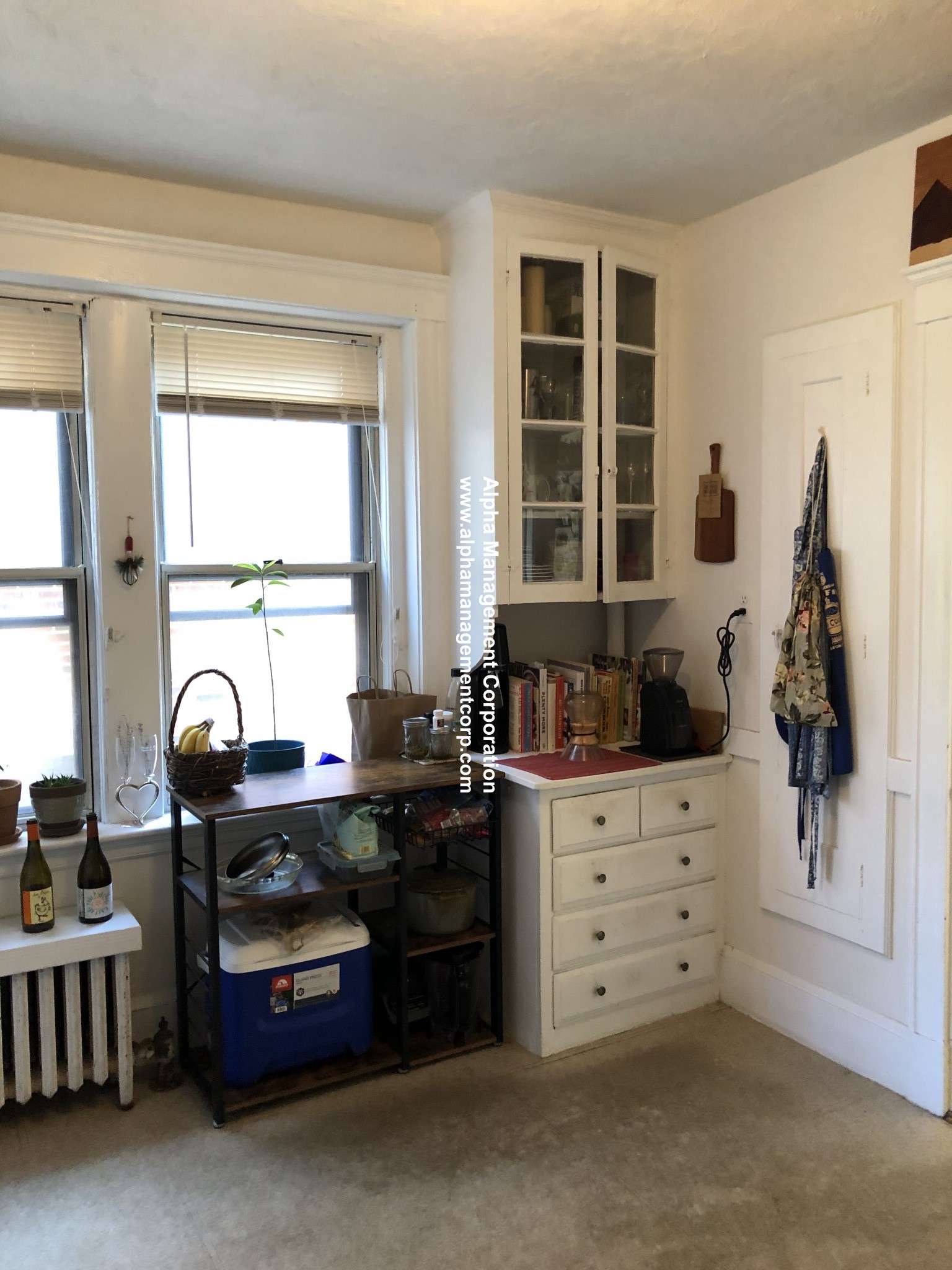 1 bed, 1 bath apartment for rent at 16 Lakeville Rd Unit 4, Jamaica Plain — photo 8 of 11
