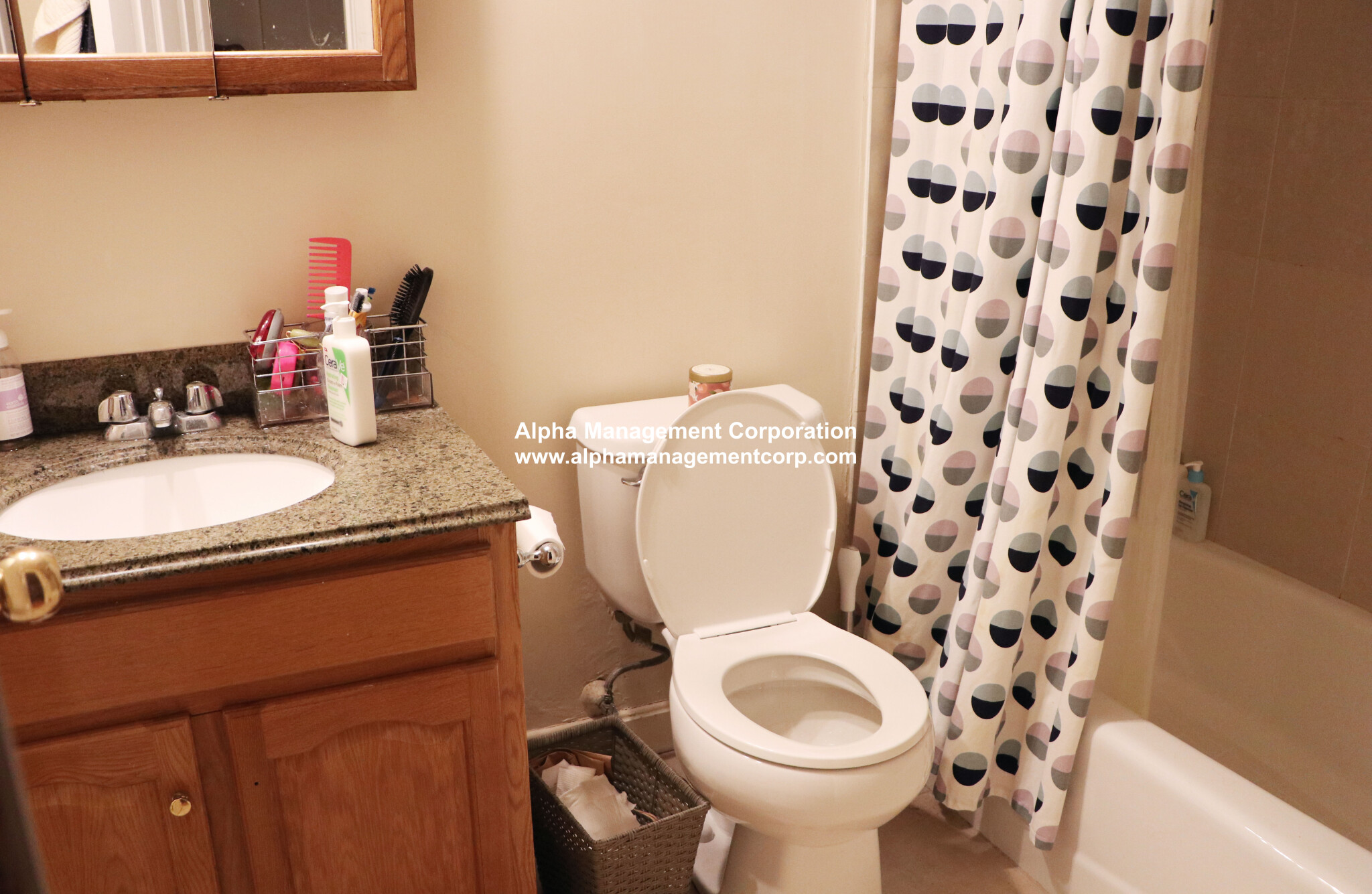 3 bed, 2 bath apartment for rent at 18 Euston St Unit 2, Brookline — photo 7 of 7