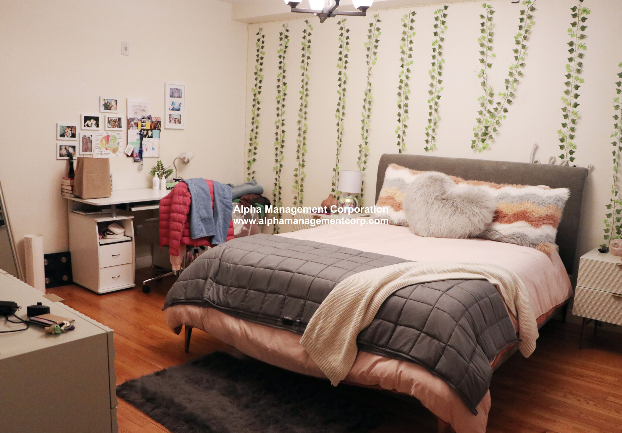 3 bed, 2 bath apartment for rent at 18 Euston St Unit 2, Brookline — photo 3 of 7