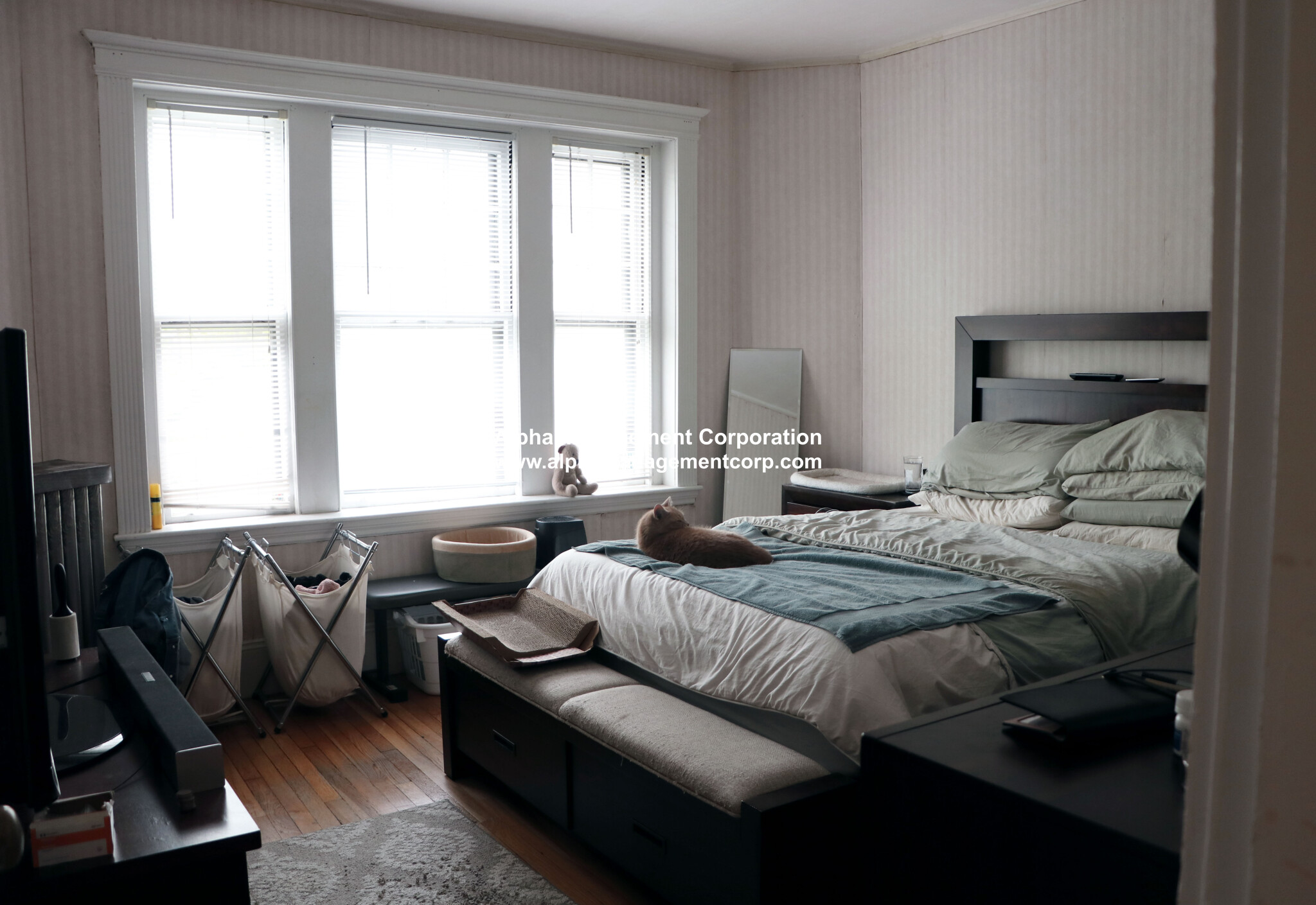 73 Longwood Ave, Coolidge Corner