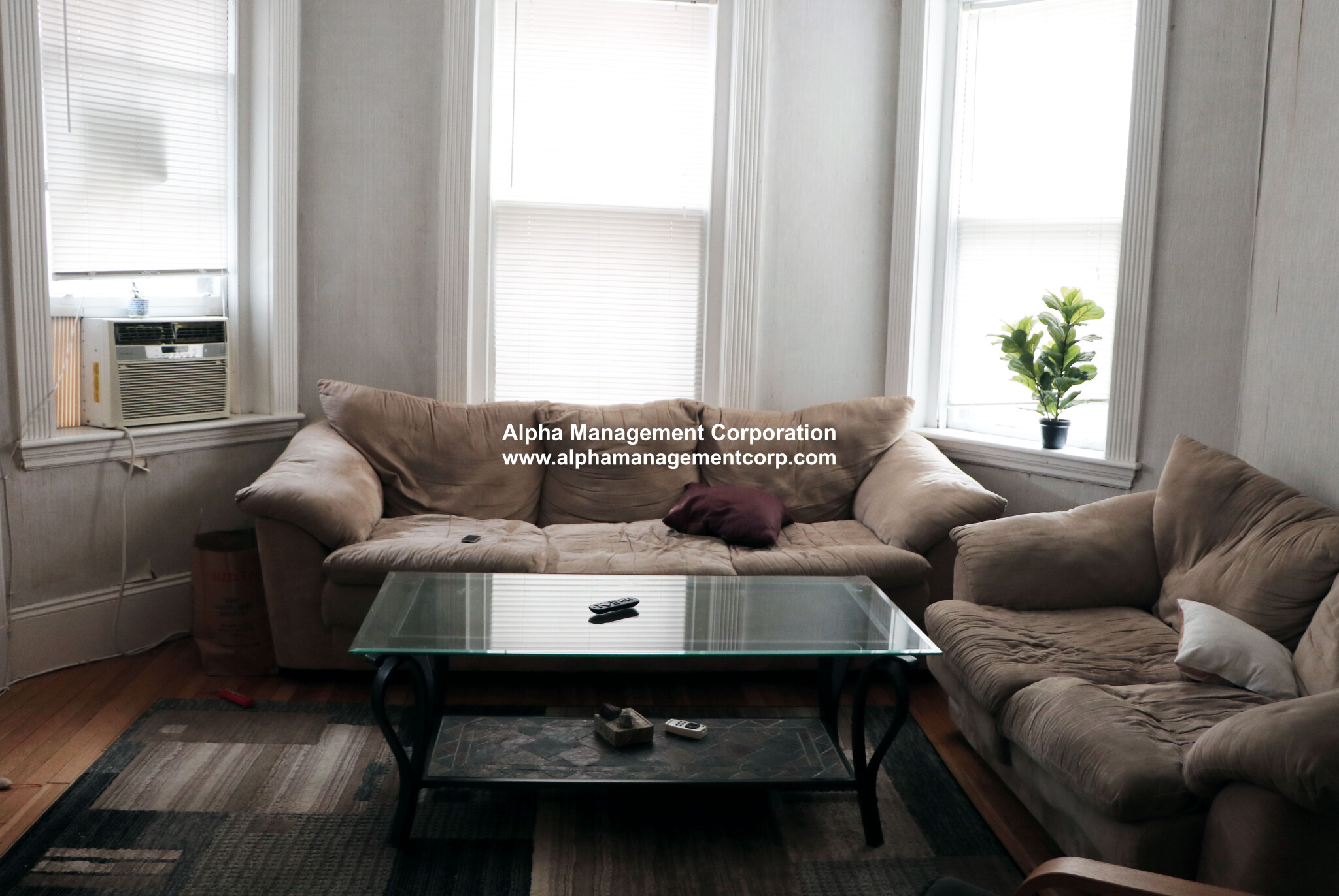 73 Longwood Ave, Coolidge Corner