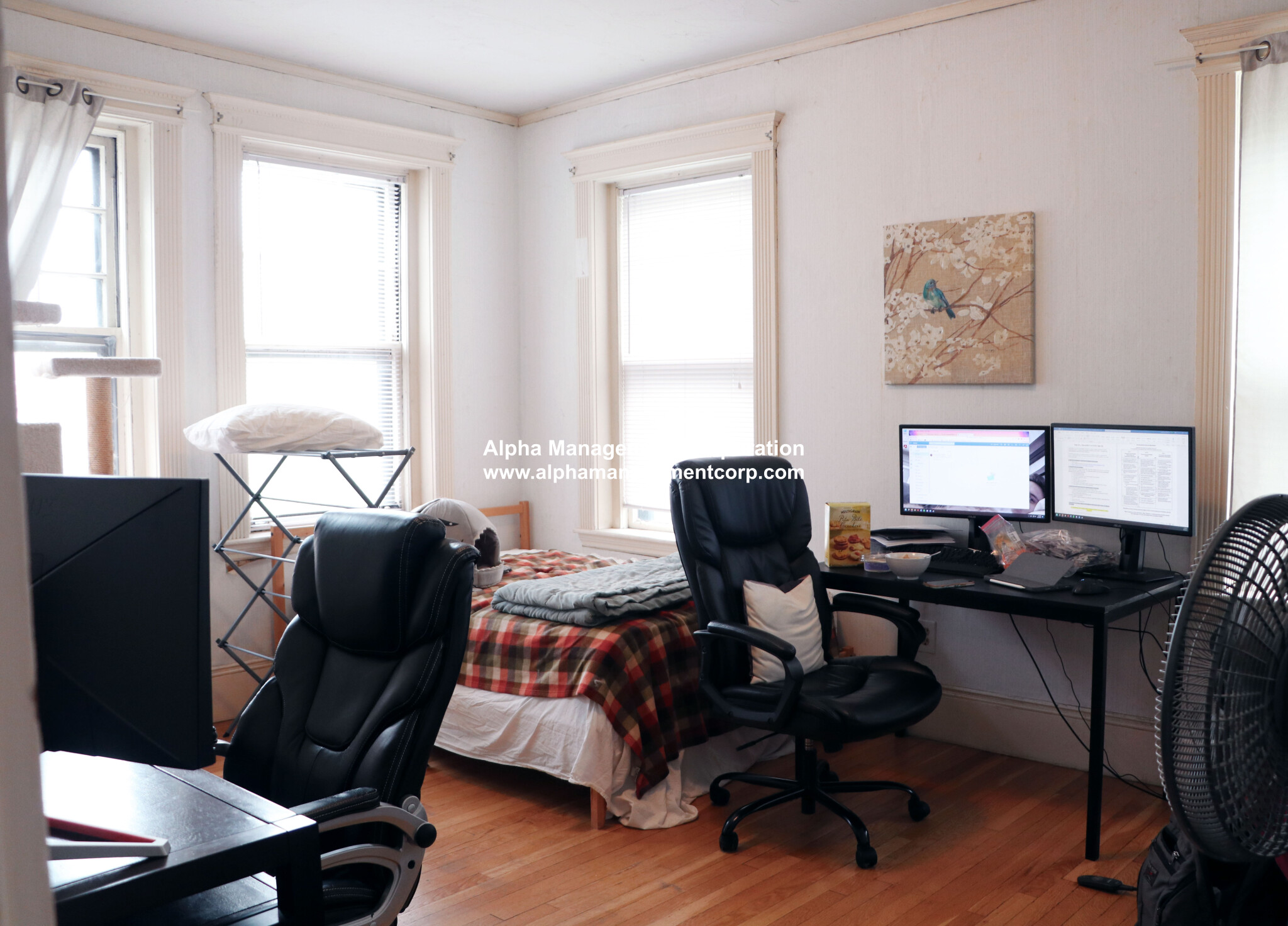 73 Longwood Ave, Coolidge Corner