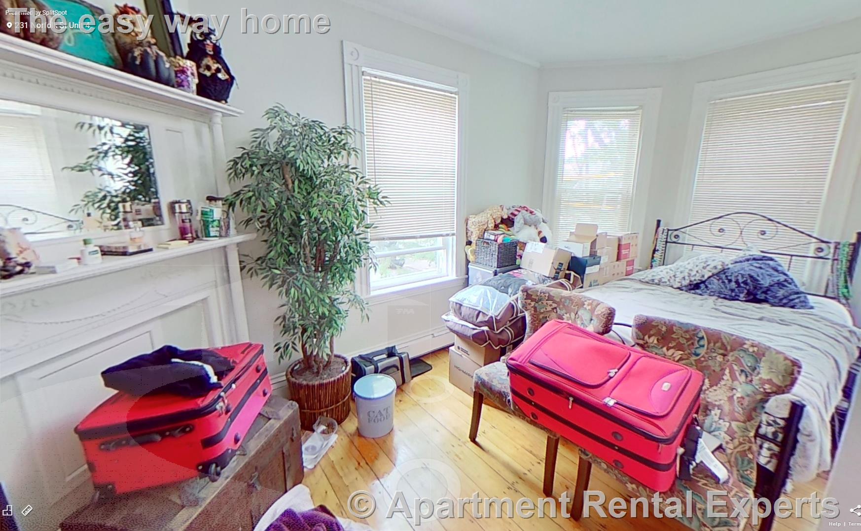 231 Norfolk St, Central Square