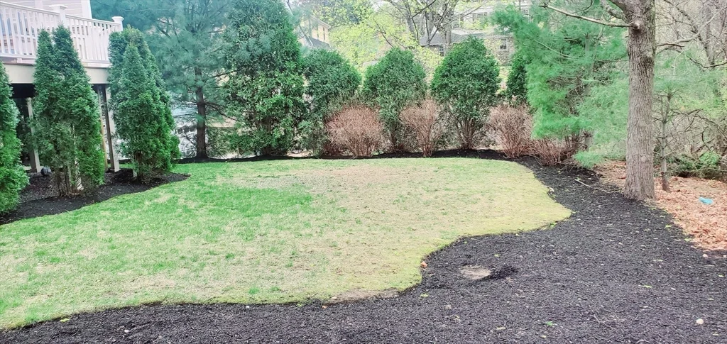 24 Elm, Dedham