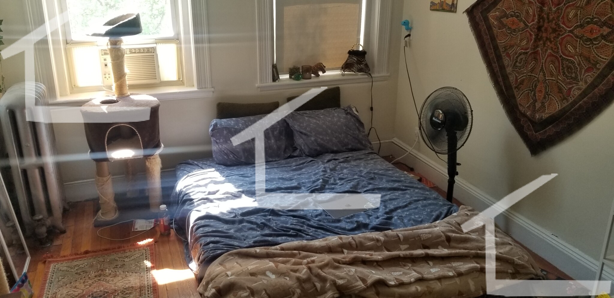 9 Egremont Rd, Brighton