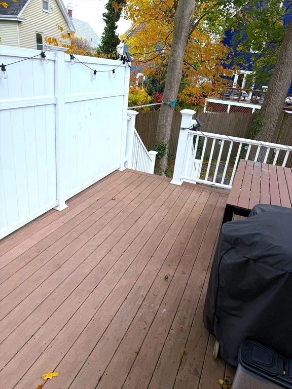 118 Newburg St, Roslindale