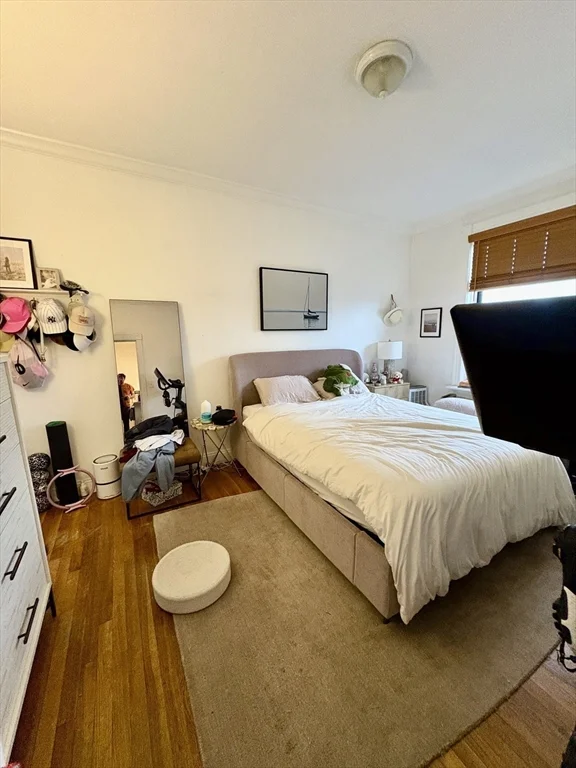 384 Commonwealth Ave, Back Bay