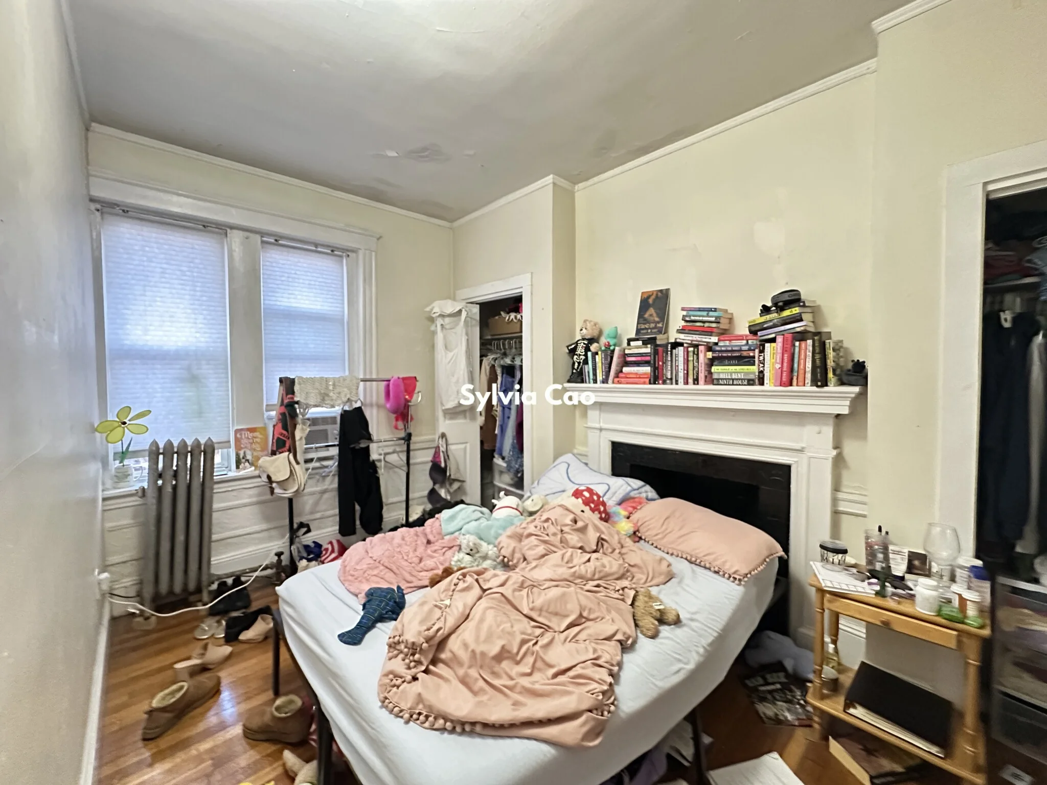 56 Egmont St, North Brookline