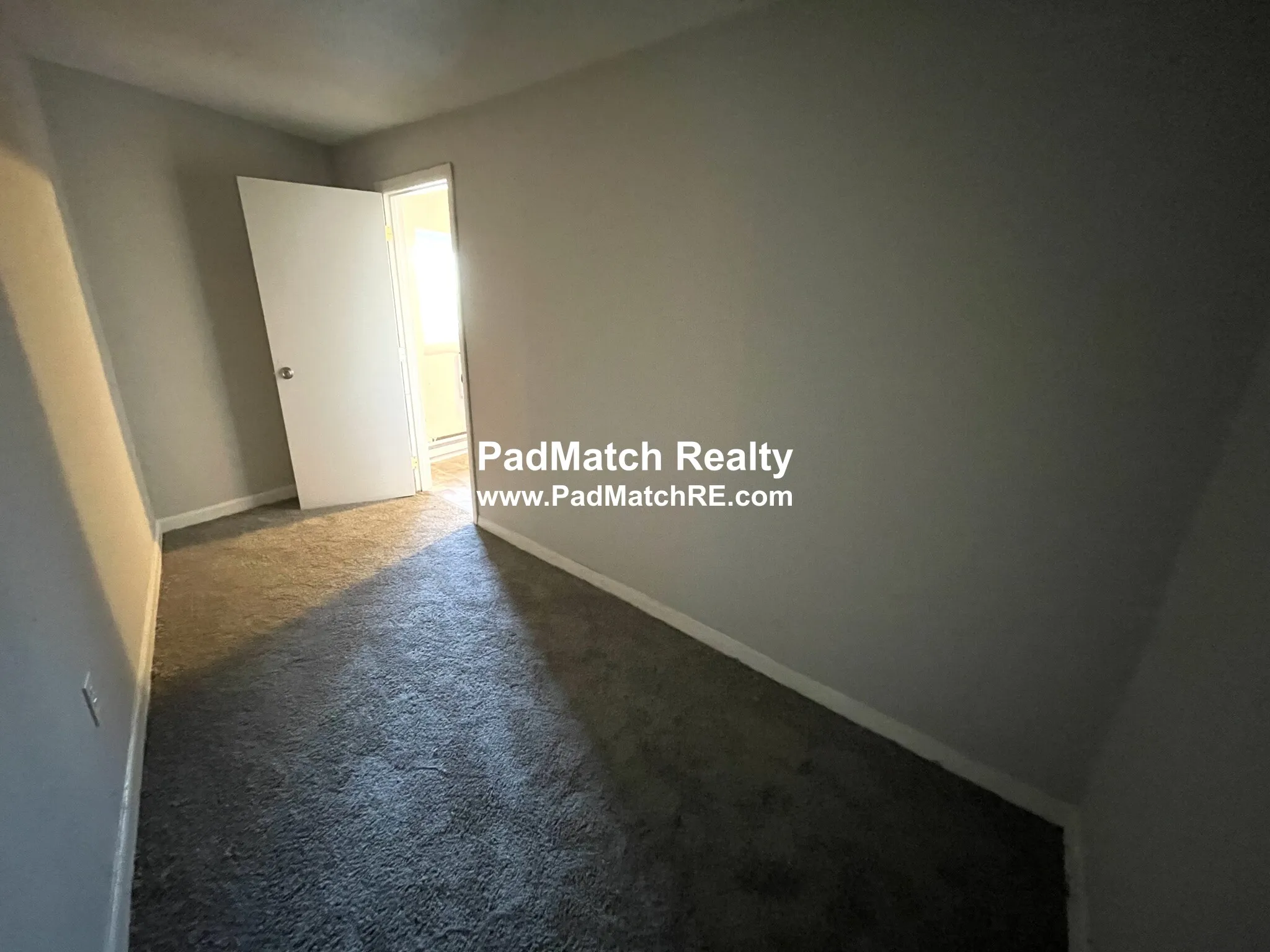 231 Harrison Ave, Chinatown