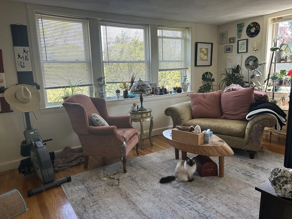 66 Lake Ave, Melrose