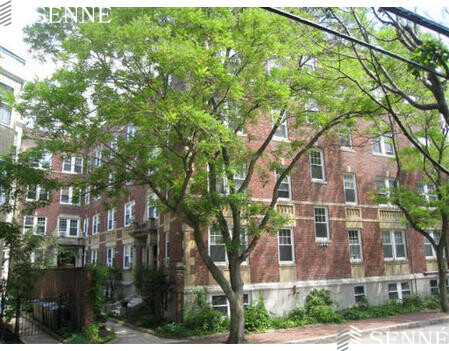 19 Shepard St, Neighborhood Nine