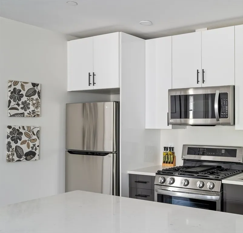 50 Stedman St, Jamaica Plain