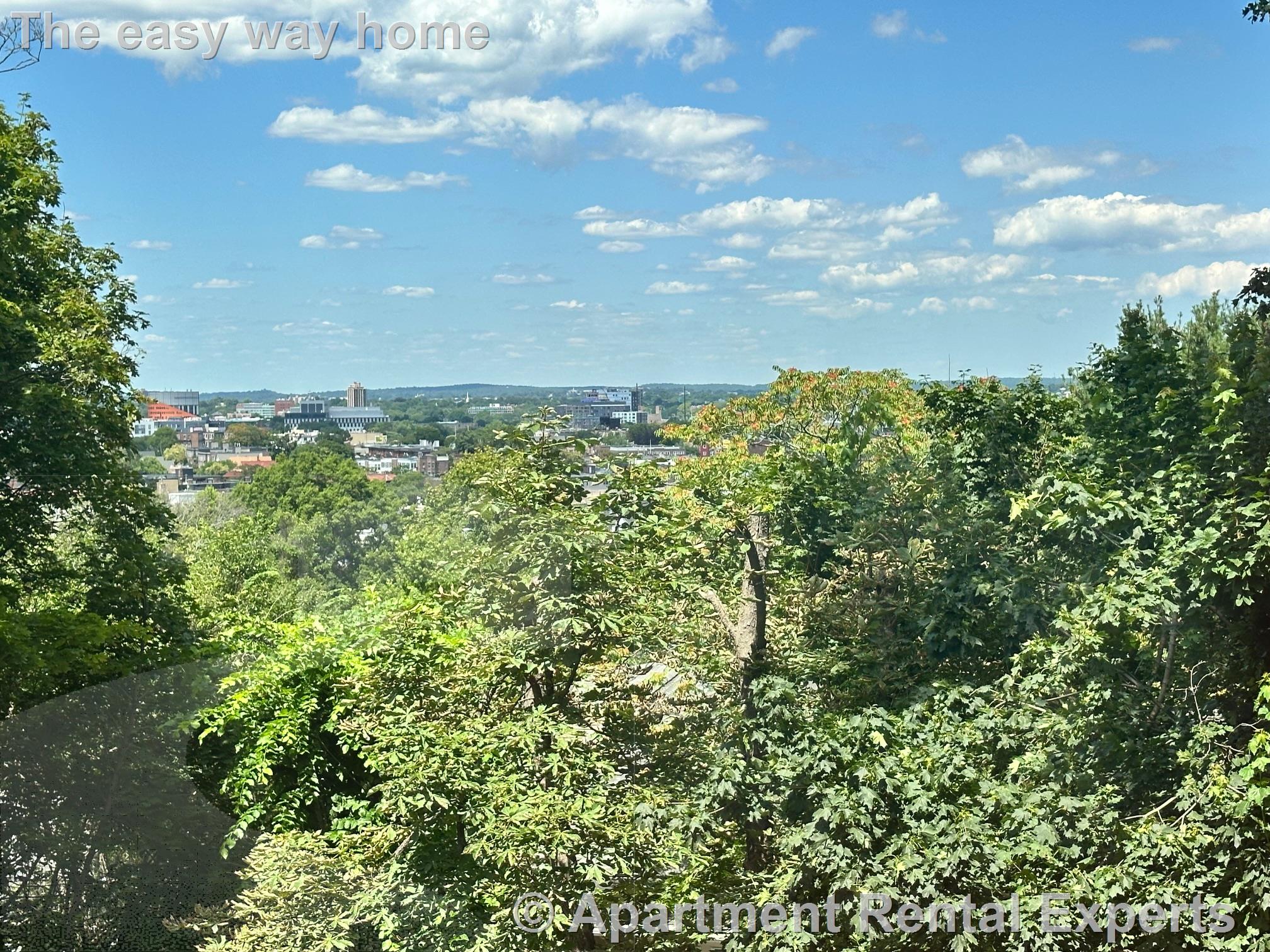 273 Mason Terr, Coolidge Corner