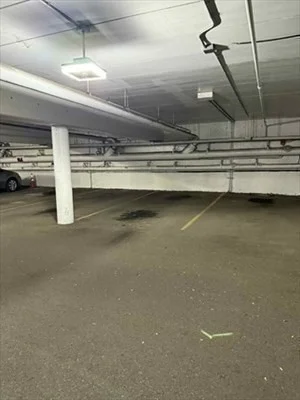 23 Fuller St, North Brookline