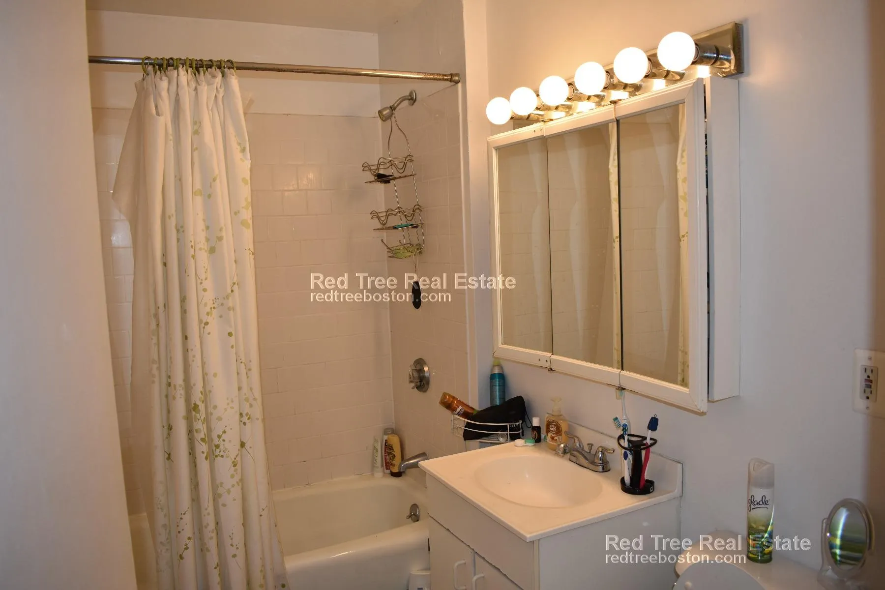 530 Cambridge St, Brighton