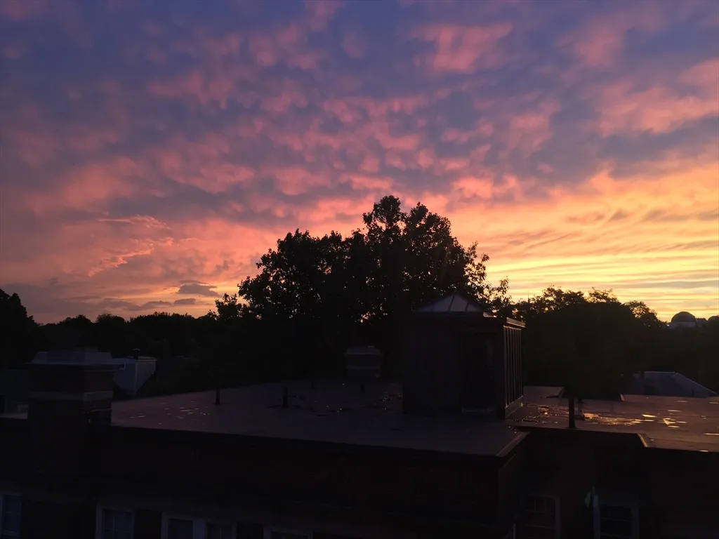 29 Concord Ave, Neighborhood Nine