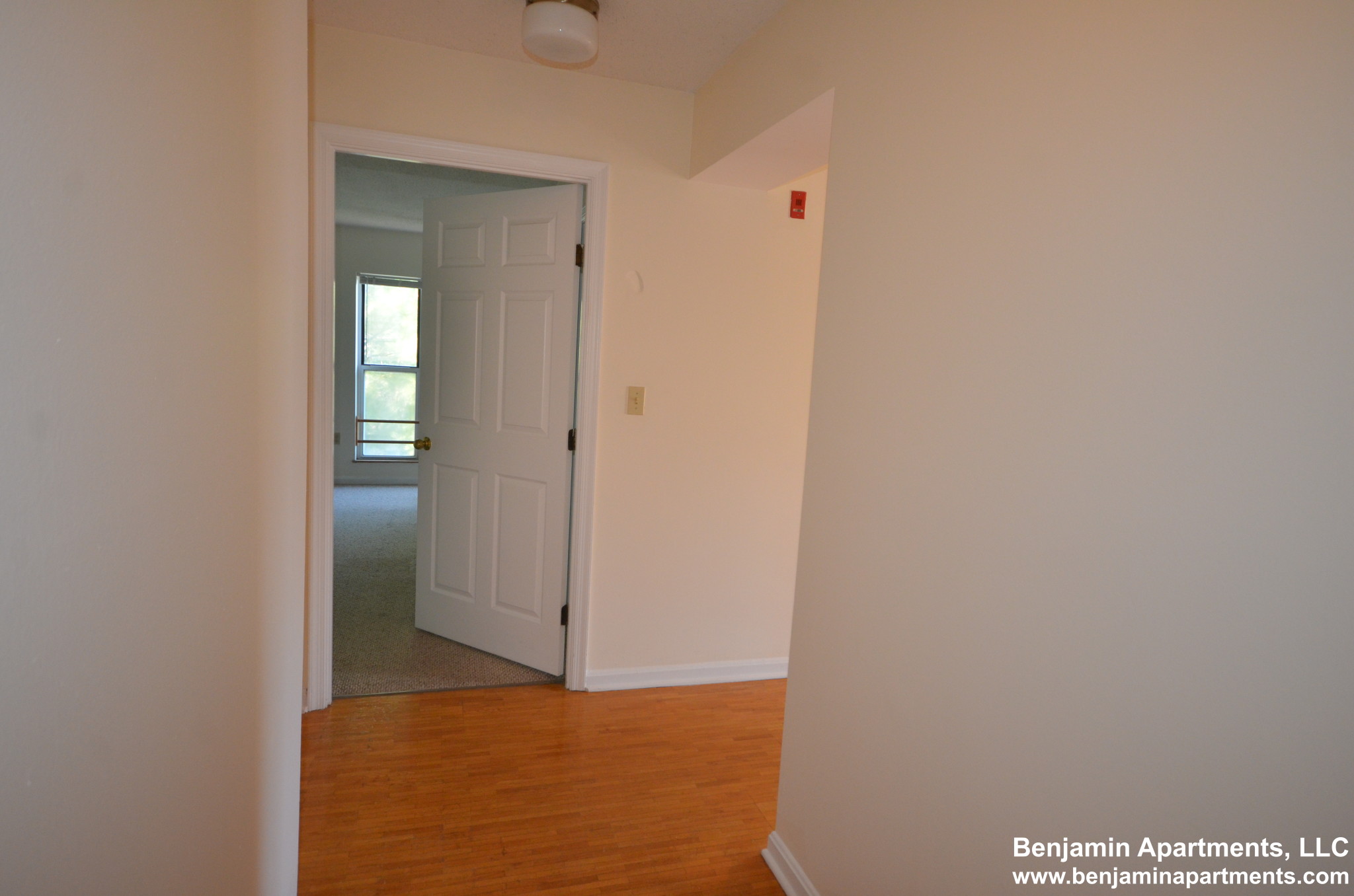 2 bed, 2 bath apartment for rent at 345 Franklin St Unit A206, Central Square — photo 3 of 14