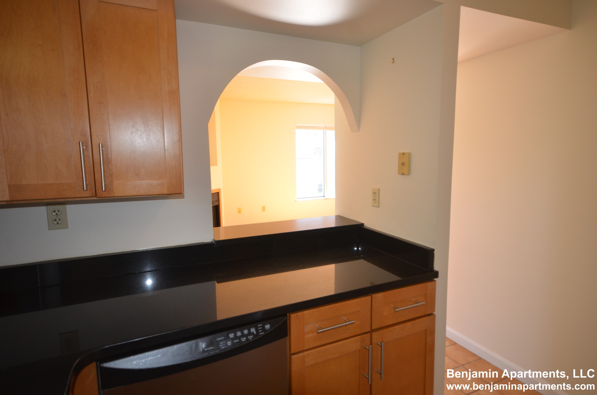 2 bed, 2 bath apartment for rent at 345 Franklin St Unit A206, Central Square — photo 4 of 14