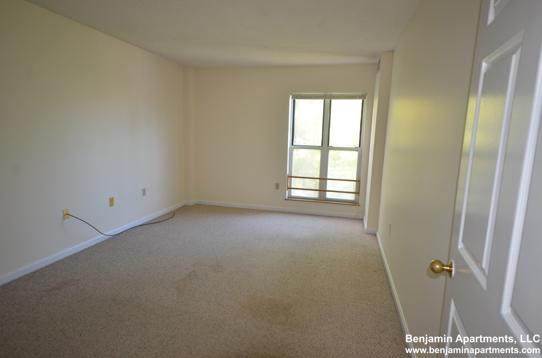 2 bed, 2 bath apartment for rent at 345 Franklin St Unit A206, Central Square — photo 6 of 14