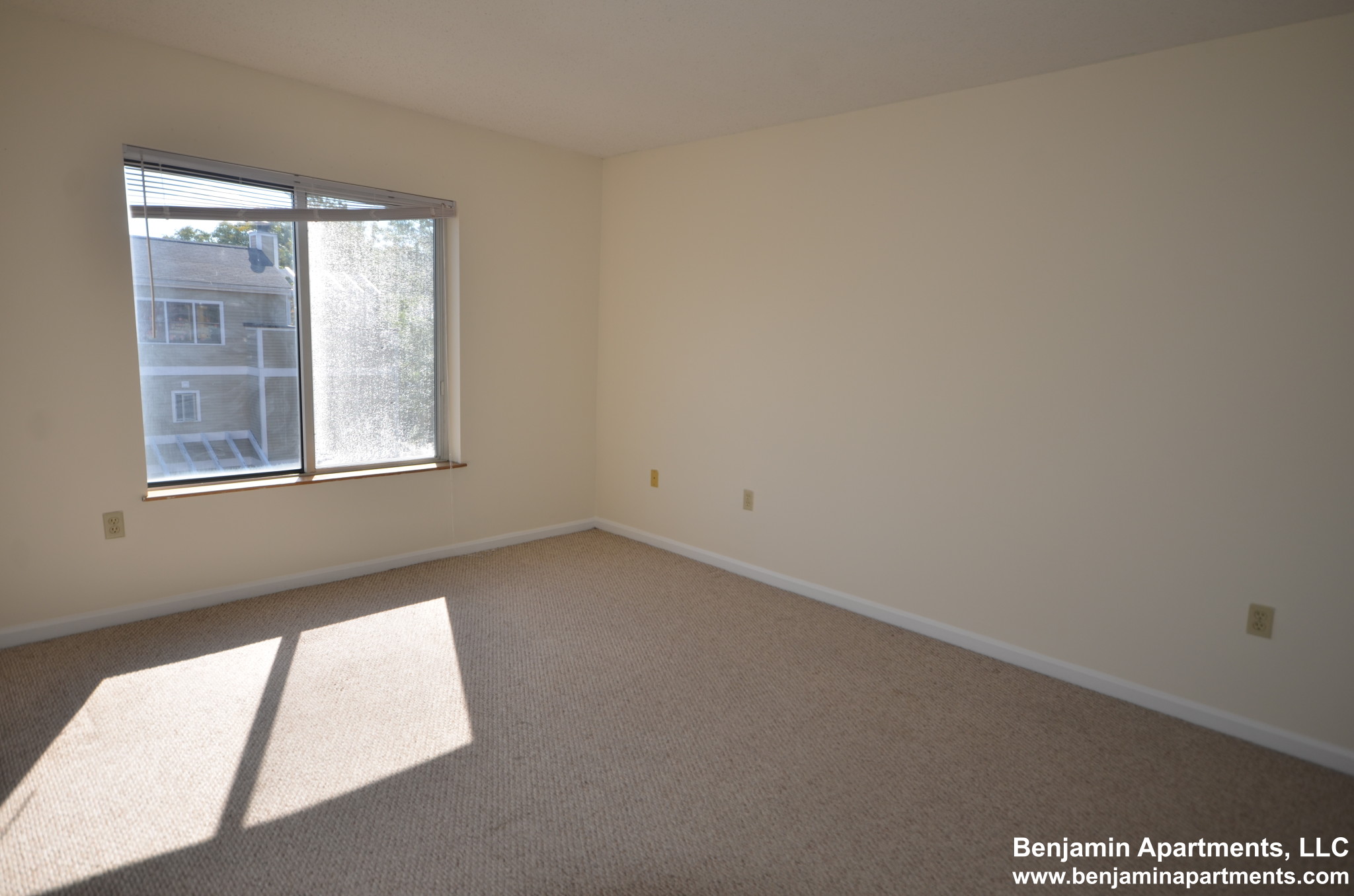 2 bed, 2 bath apartment for rent at 345 Franklin St Unit A206, Central Square — photo 14 of 14