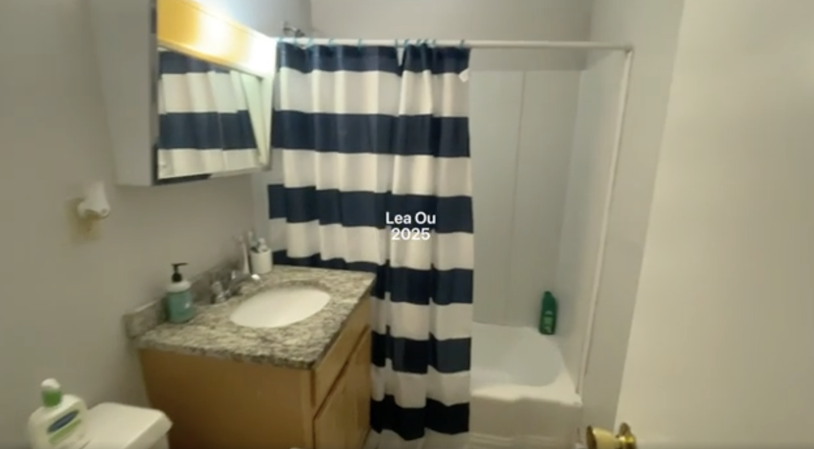 110 Babcock St, North Brookline