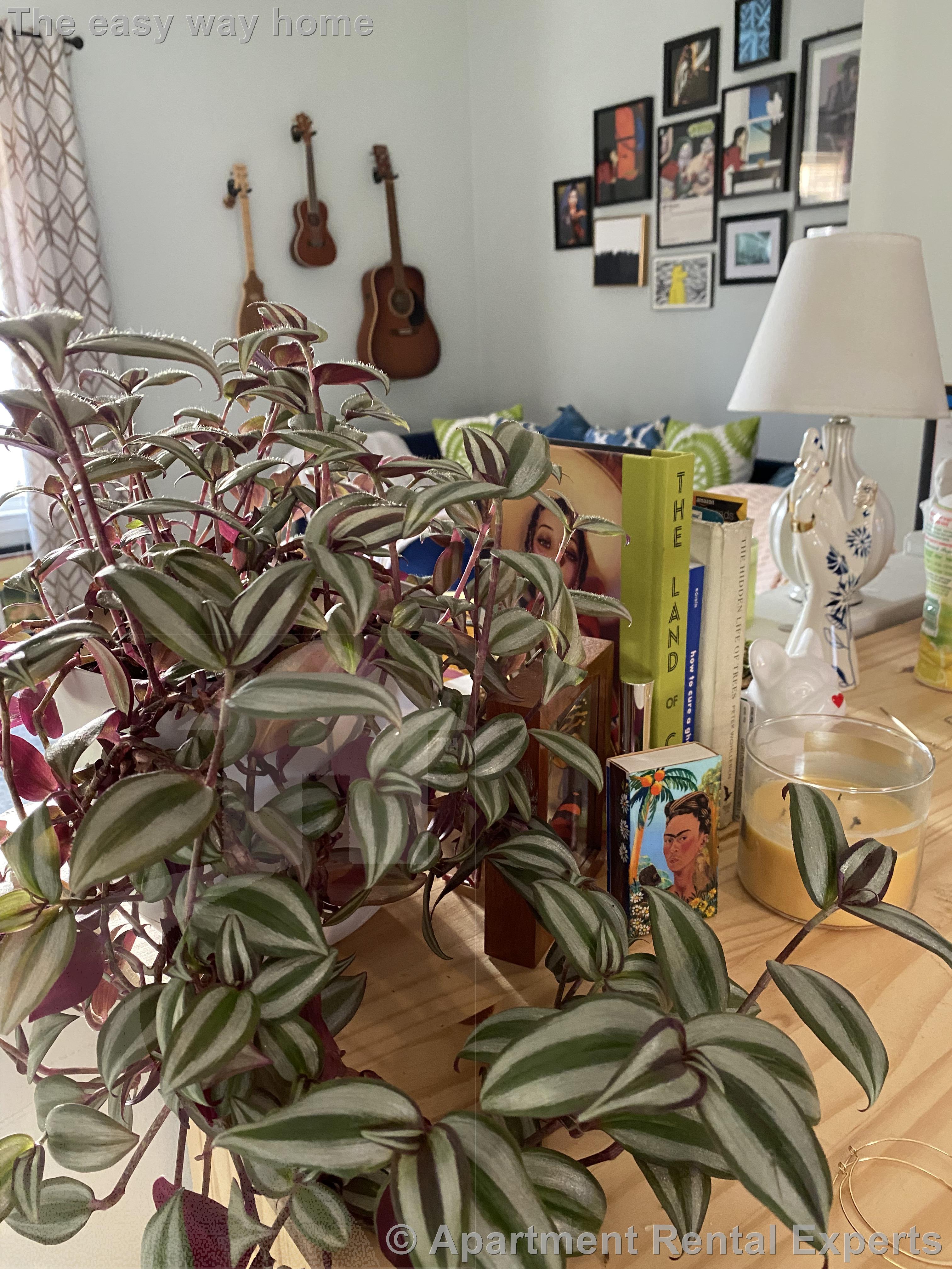 9 Playstead Rd, Malden Center