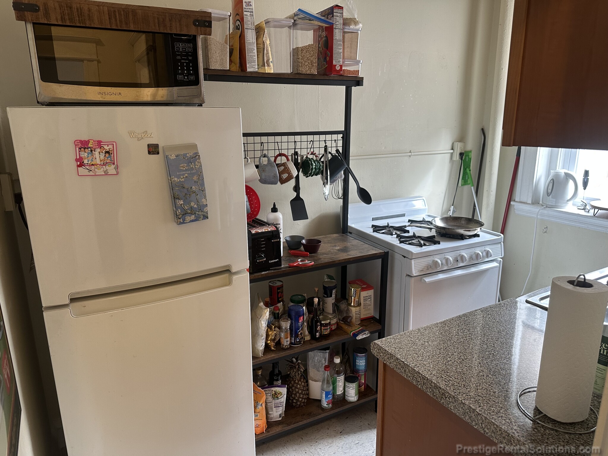 221 Kelton St, Brighton