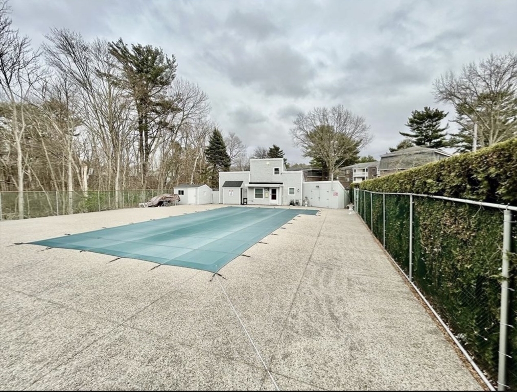 41 Will, Canton Junction