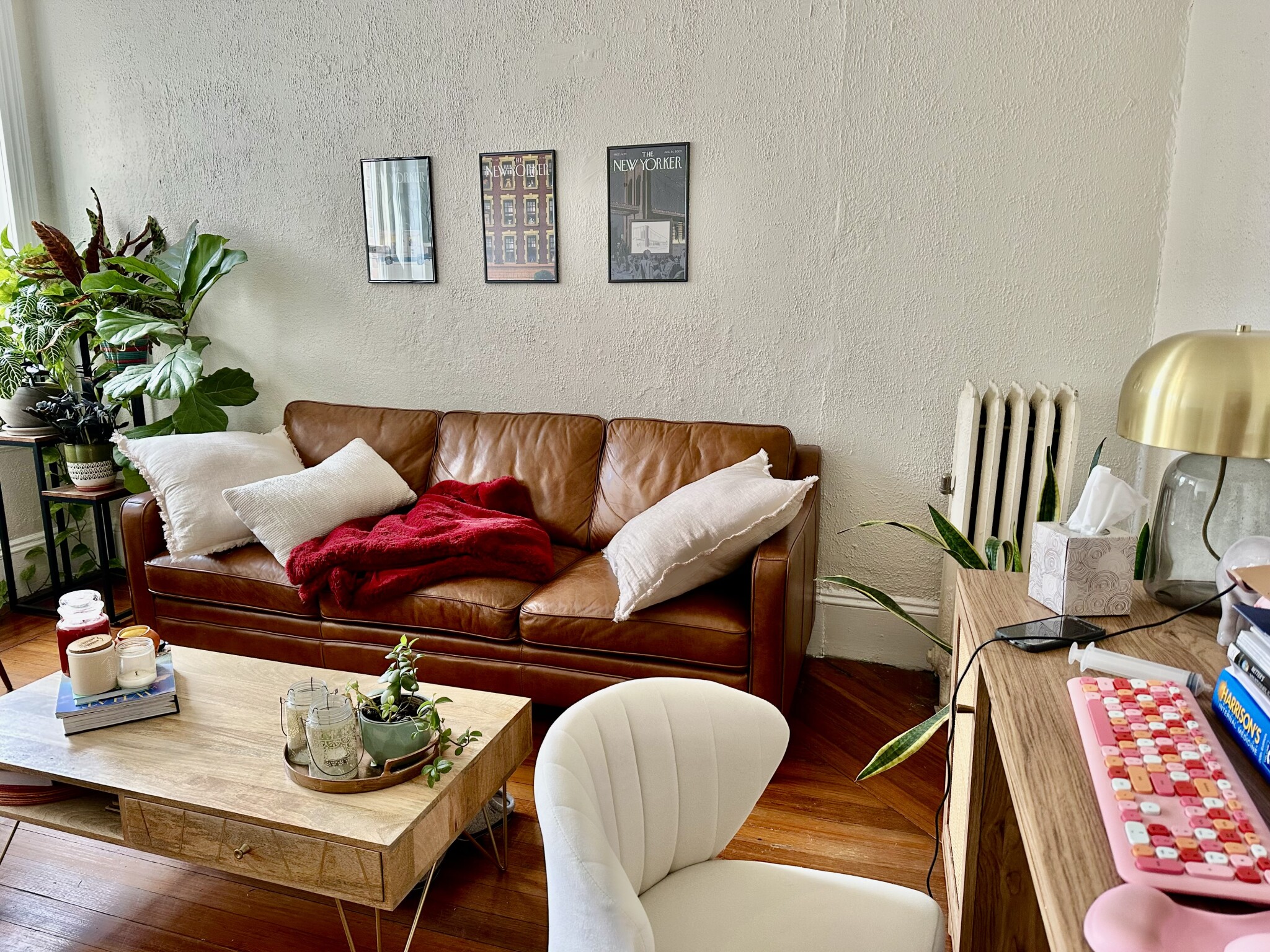 108 Myrtle St, Beacon Hill