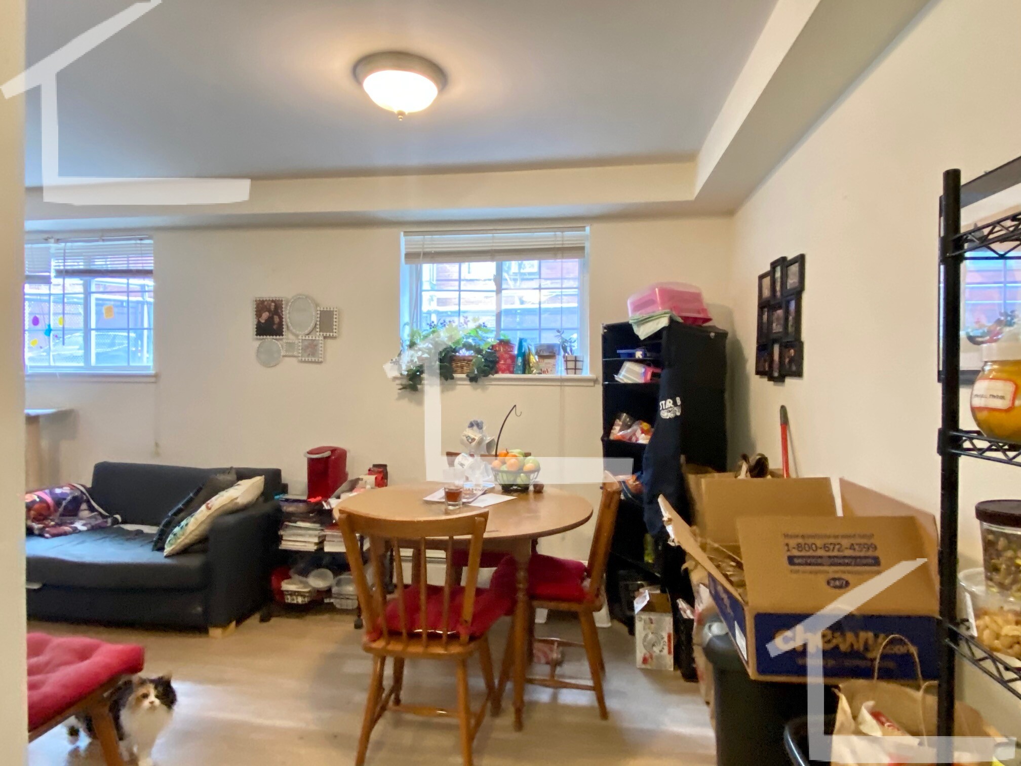 8 Griggs St, Brighton