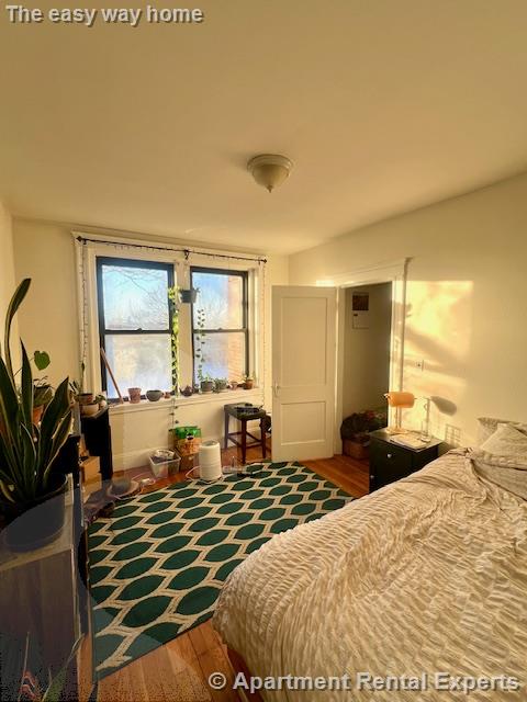 335A Harvard St, Harvard Square