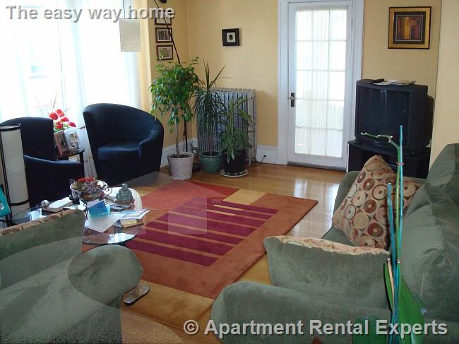 87 Summer St, Spring Hill