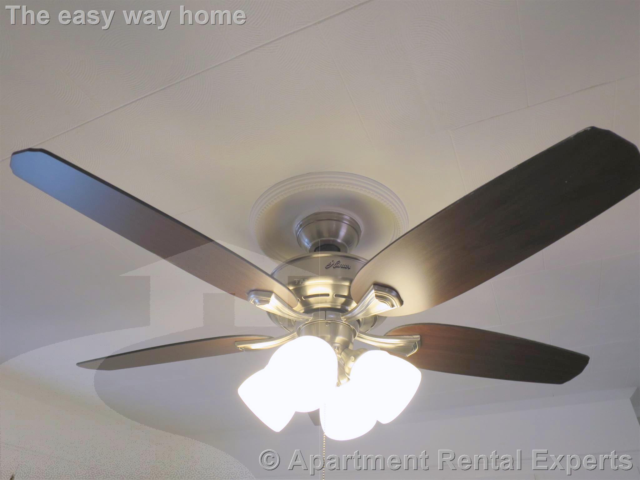 18 Meridian St, Malden Center