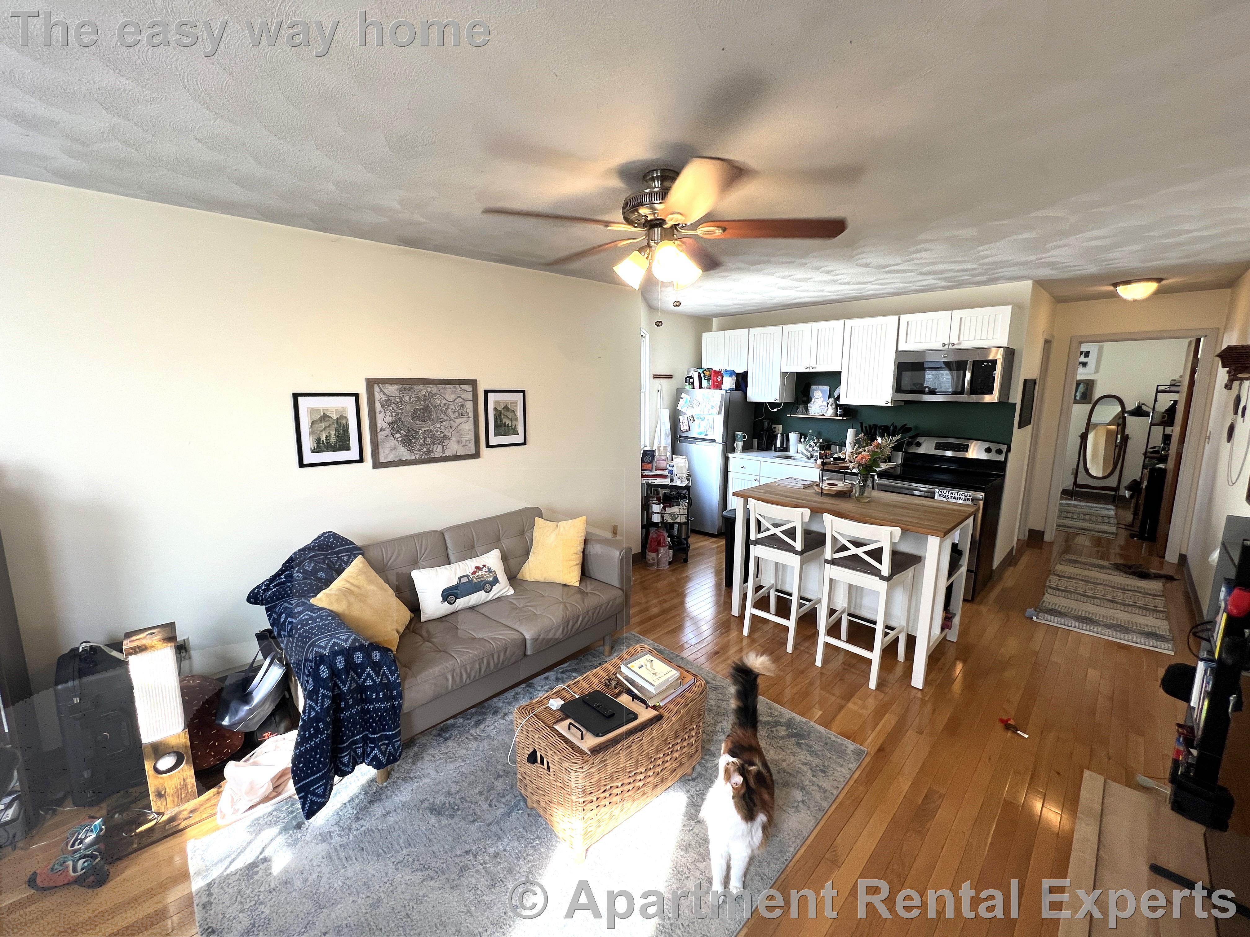 217 Holland St, Davis Square