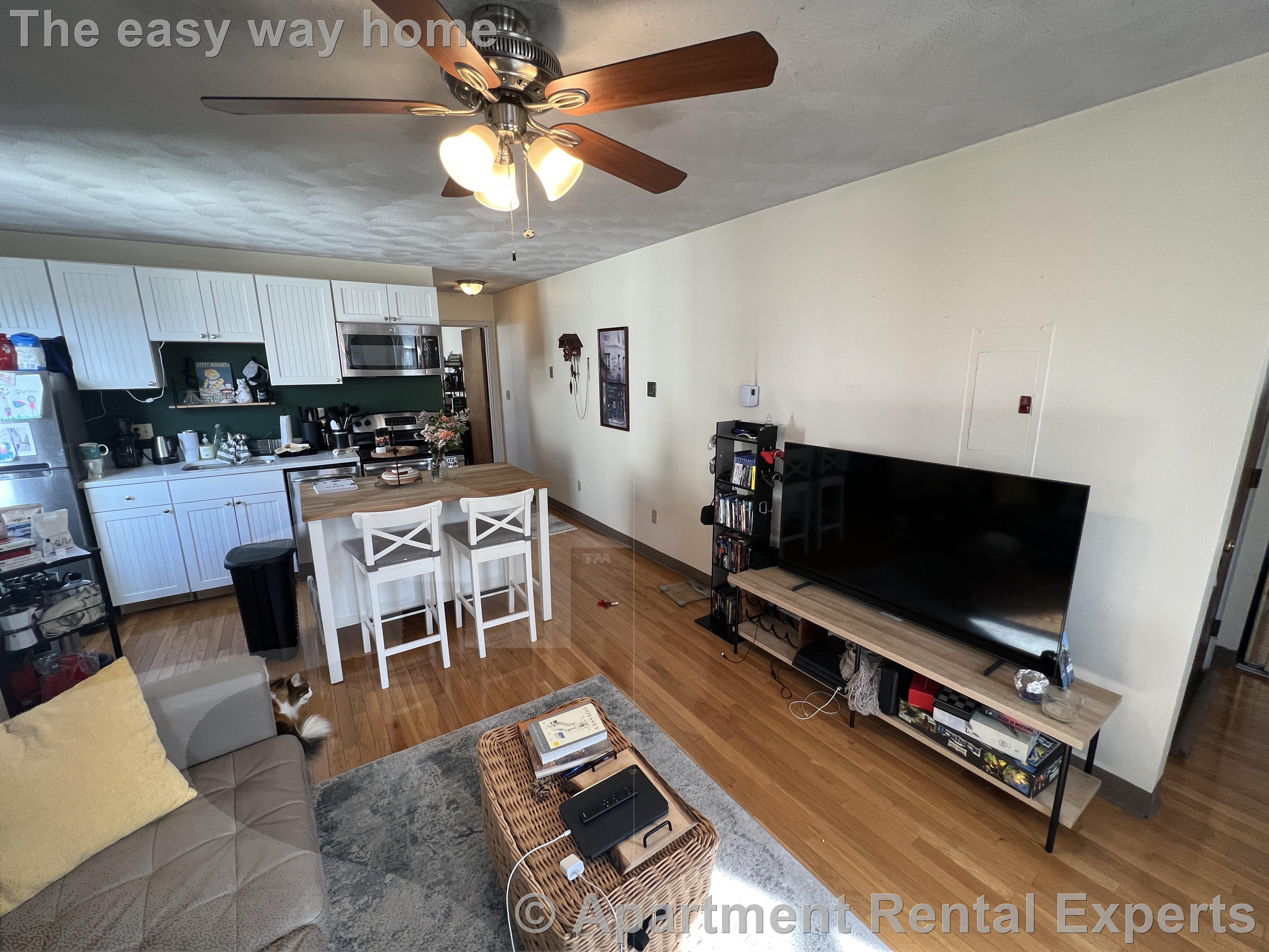 217 Holland St, Davis Square