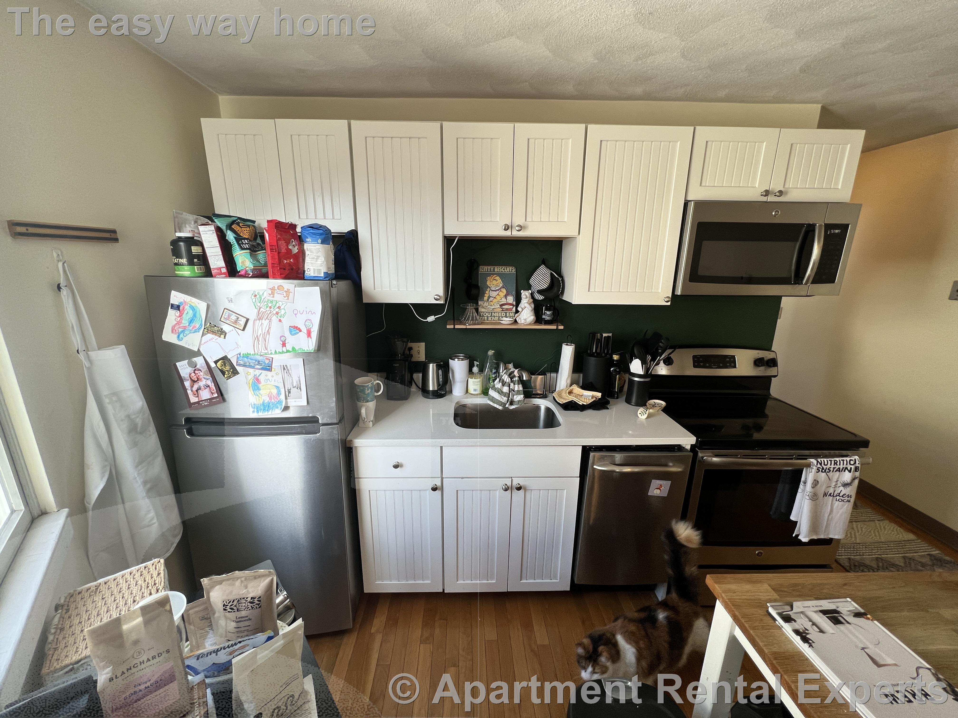 217 Holland St, Davis Square