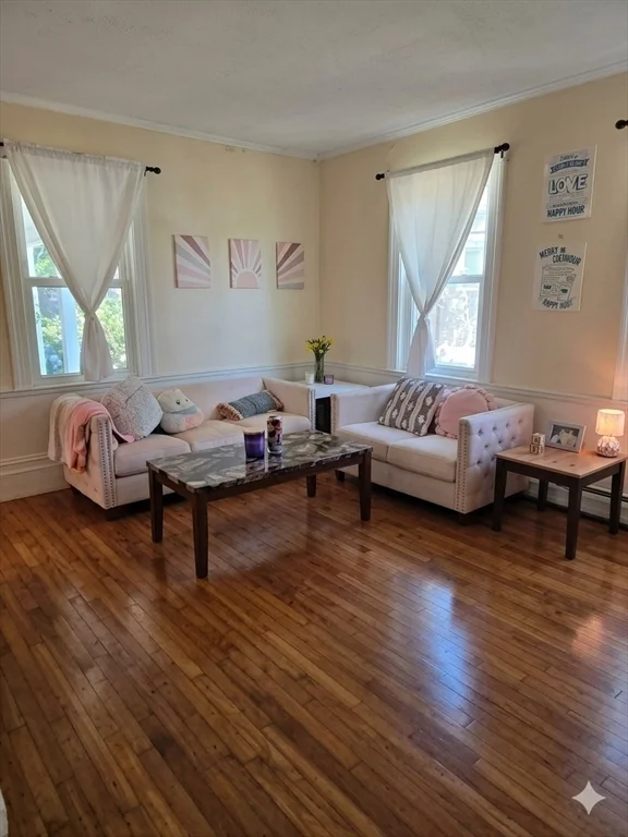 155 Amity St, Amherst