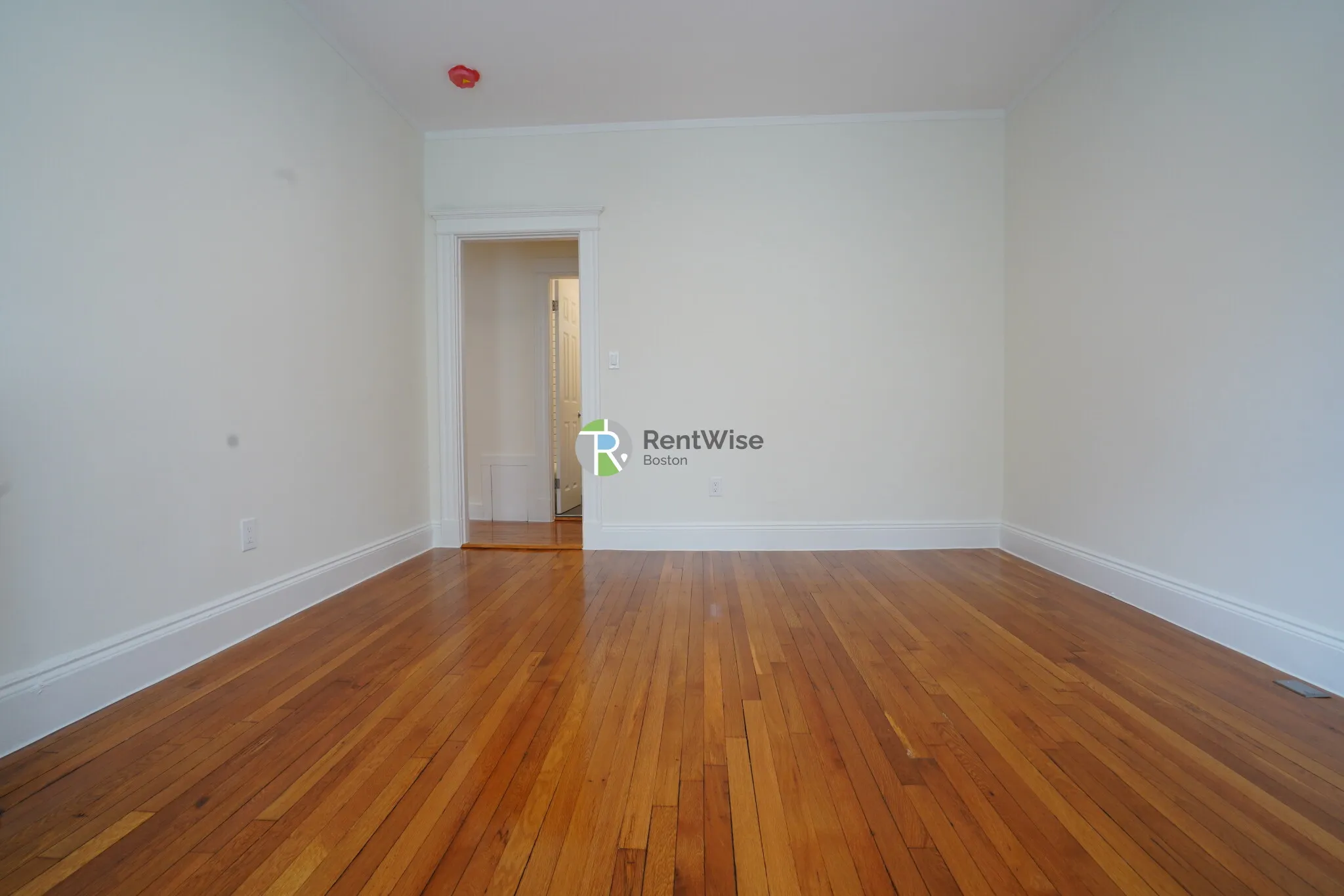 10 Orkney Rd, Brighton