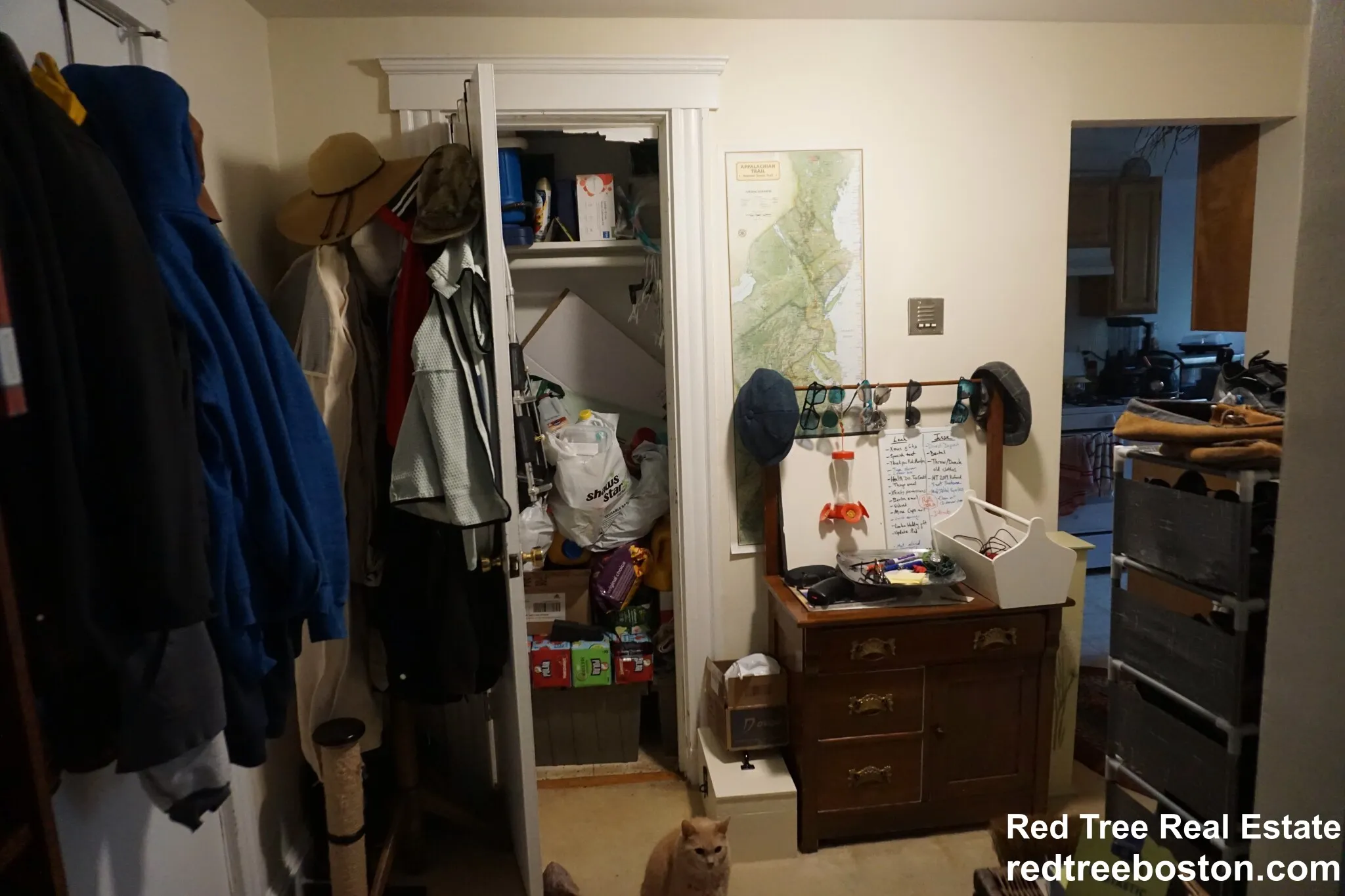 20 Colborne Rd, Brighton