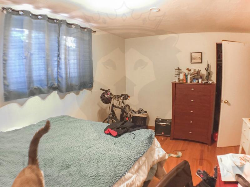 2 bed, 1 bath apartment for rent at 365 Faneuil St Unit 3, Brighton — photo 4 of 4