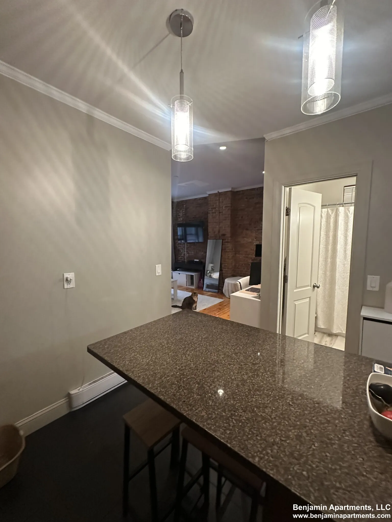 17 Garrison St, Back Bay